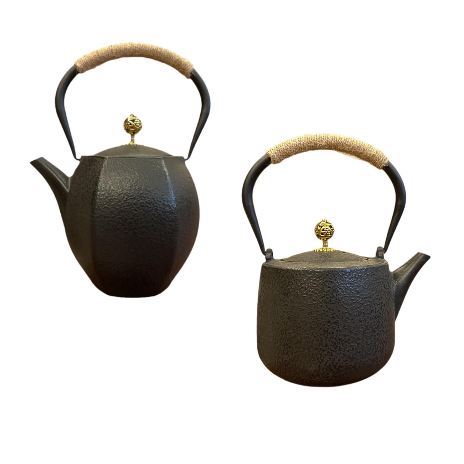 Japanese Teapot Tea Kettle Coo - Home Cooking In Japanese review and price