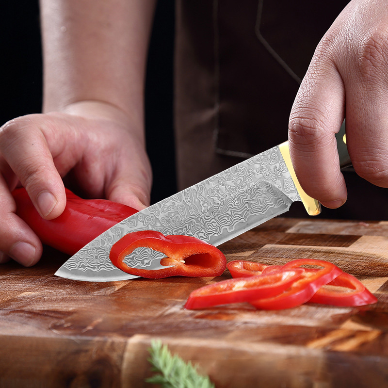 Premium VG10 Damascus Kitchen  - Home Cooking Japanese Food review and price