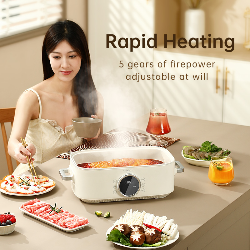 10L 3-in-1 Electric Food Steam - Home Cooking Restaurant review and price